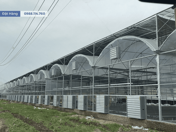 Lắp Quạt Hút Công Nghiệp 1220x1220x400