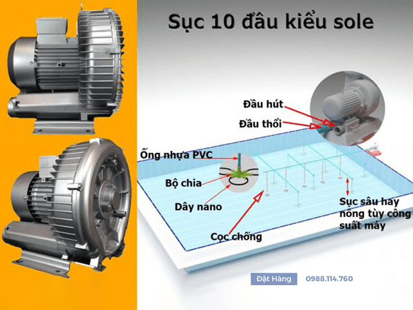 Ảnh Thực Tế Máy Thổi Khí Veraty GB-2200s