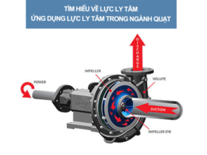 Tìm hiểu về lực ly tâm - Ứng dụng lực ly tâm trong ngành quạt